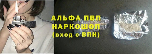 дмт Ельня