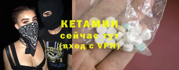 дмт Ельня