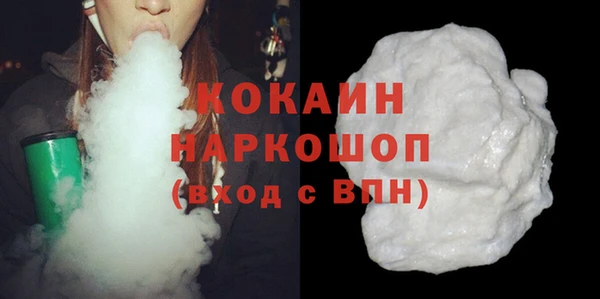 дмт Ельня