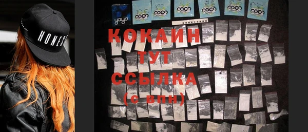дмт Ельня