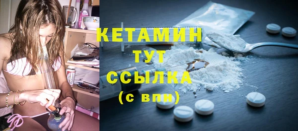 дмт Ельня