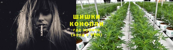 MESCALINE Елизово