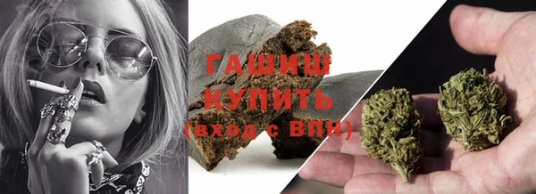 дмт Ельня